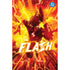 Absolute Flash Volume 1 Of Two Worlds - Books