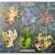 Baby Dragon Pins - Skull Collector / Glitter - Gifts