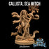 Dapper Fox Minis: Callista Sea Witch - Roleplaying Games
