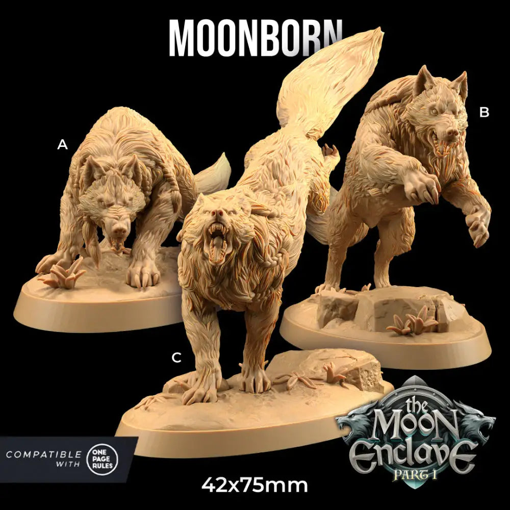 Dapper Fox Minis: Moonborn - Roleplaying Games