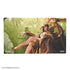 Gamegenic: Magic the Gathering Lorwyn Eclipsed Playmat - High Perfect Morcant - Card Games