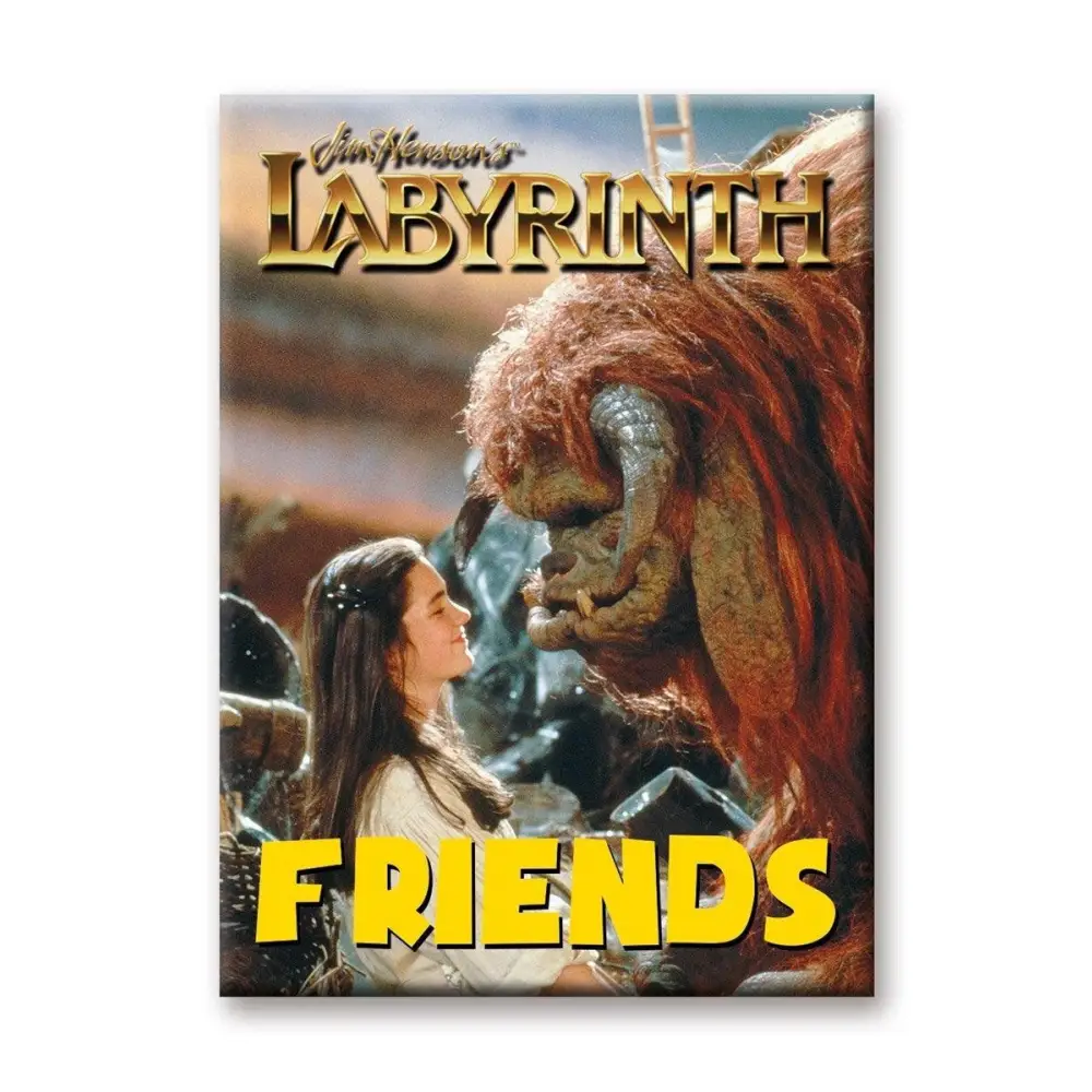 Labyrinth Friends Magnet Toys & Gifts Great Stuff Novelties   
