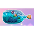 MKC Kraken in a Bottle Sticker - Gifts