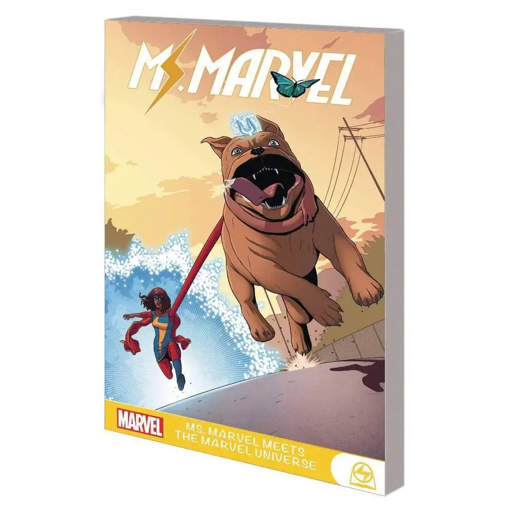 Ms Marvel Meets the Marvel Universe - Books