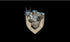Antique bronze-colored metal shield emblem featuring a detailed bear and stag design for noble dwarf artic chimera magnetic trophy head