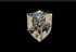Silver lion-headed shield plaque with ornate detailing on textured wood-grain background for noble dwarf manticore magnetic trophy head