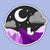 Pride Snapshot Enamel Pin - Asexual Cliffside - Gifts