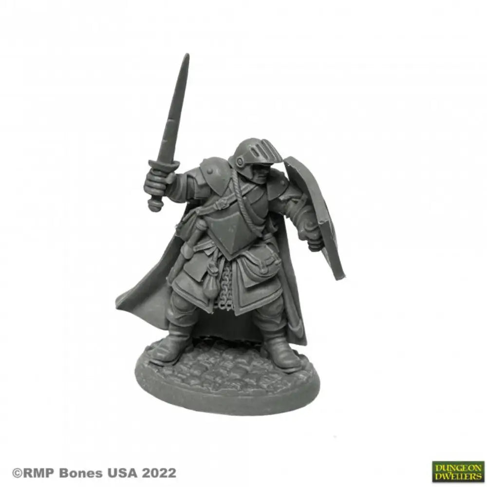 Reaper Dungeon Dwellers: Bones USA Baran Blacktree Veteran Warrior - Roleplaying Games