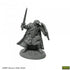Reaper Dungeon Dwellers: Bones USA Baran Blacktree Veteran Warrior - RPG Miniatures
