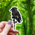 Rogue Raven Sticker - Toys & Gifts