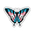 Transgender Pride Butterfly Sticker - Gifts