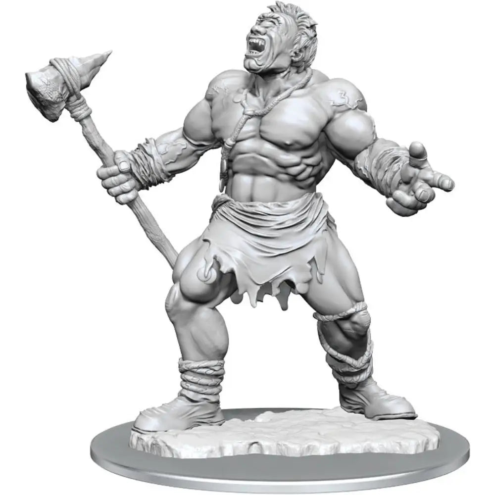 WizKids Unpainted Cyclops RPG Miniatures WizKids   