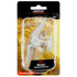 WizKids Unpainted Griffon - Roleplaying Games