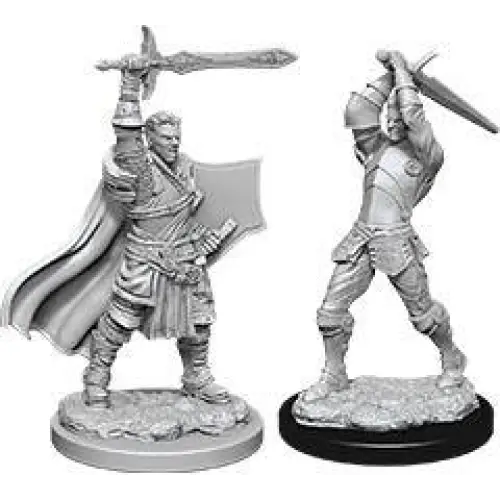 WizKids Unpainted Human Male Paladin (2) - Roleplaying Games
