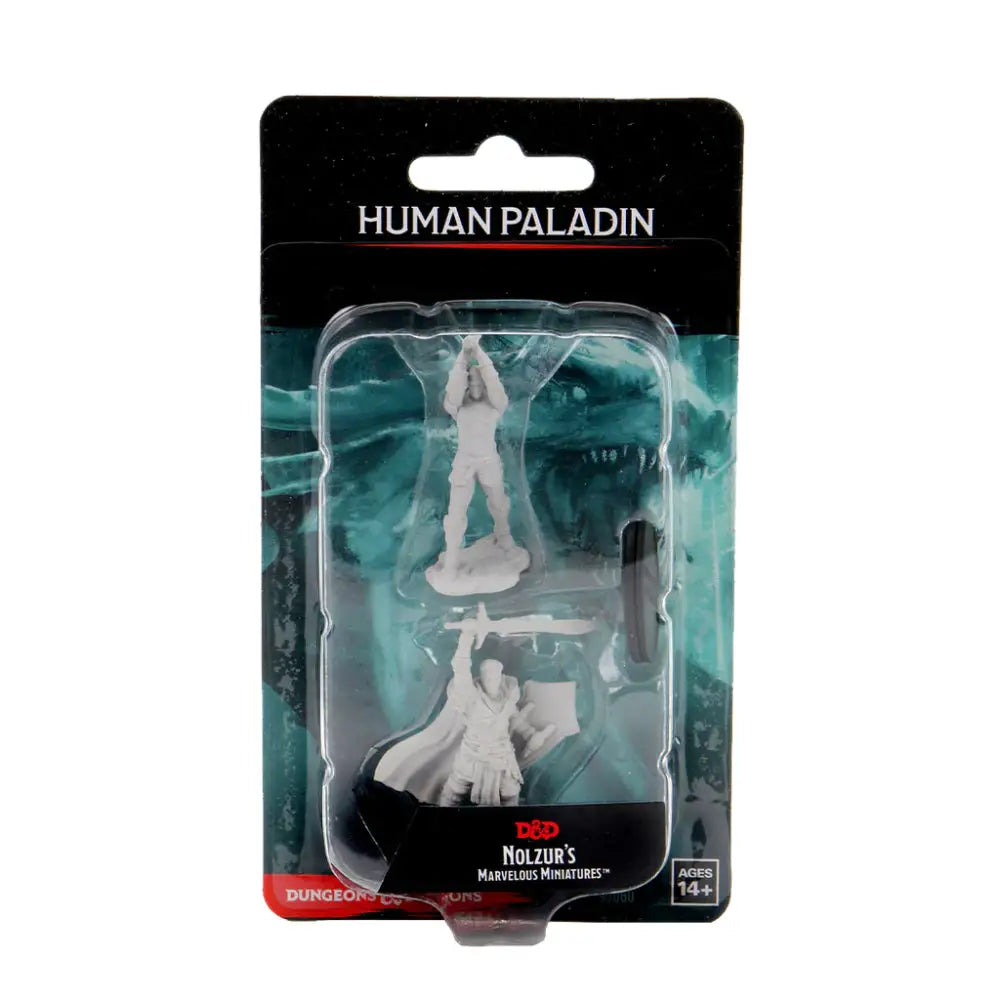 WizKids Unpainted Human Male Paladin (2) - Roleplaying Games